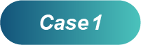 case1